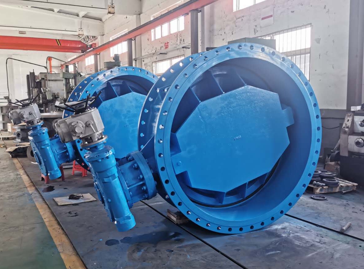 Injap Rama -rama Eksentrik: Struktur dan Aplikasi